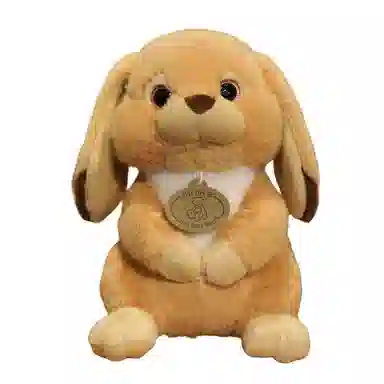 23cm