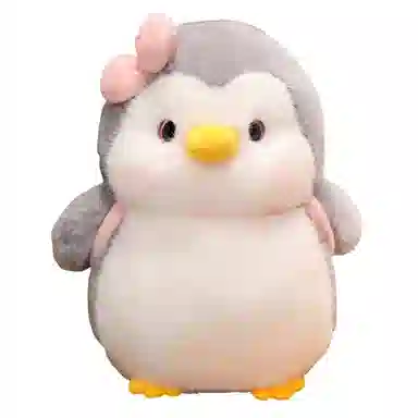 25cm35cm