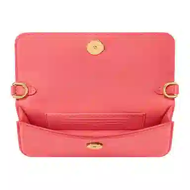 LOUIS VUITTON Bloom Wallet On Chain