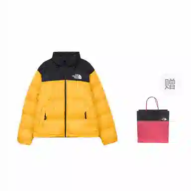 THE NORTH FACE 1996 logo