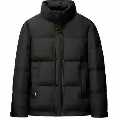 雅鹿 休闲时尚立领羽绒服 男款