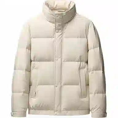 雅鹿 休闲时尚立领羽绒服 男款