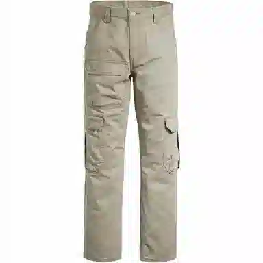 Levi's Cargo Pants