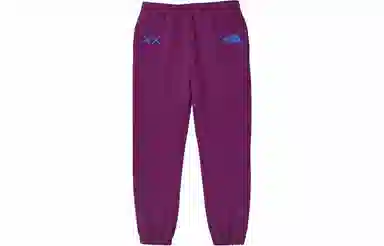 The North Face x KAWS Urban Exploration Joggers Purple