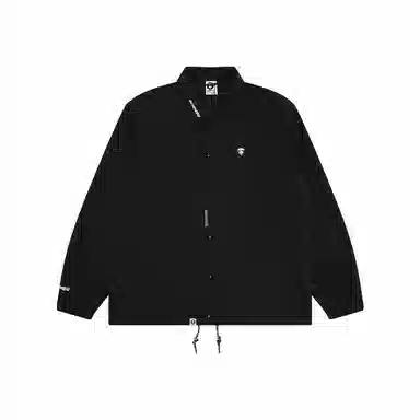 Aape