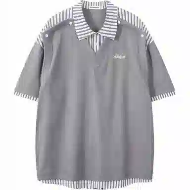 WELTER EXPERIMENT Polo