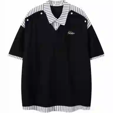 WELTER EXPERIMENT Polo