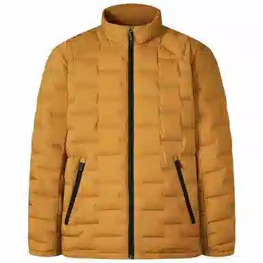 坦博尔 立领轻薄短款内胆叠穿保暖羽绒服 男款