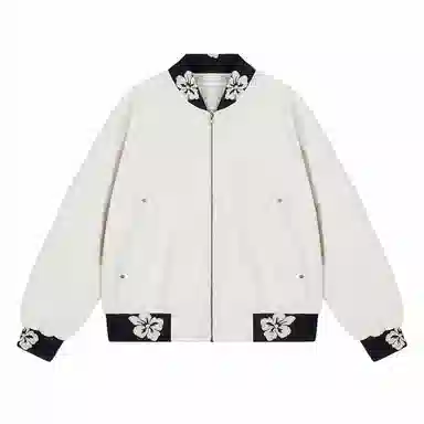 V37 bomber