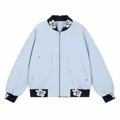 V37 bomber