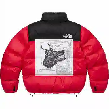 Supreme x The North Face