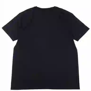 THE NORTH FACE PURPLE LABEL T