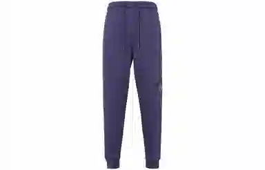 Jordan Logo Joggers Purple