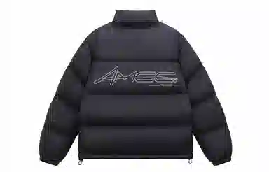 FPA ALWAYS MOVING AMGGlogo