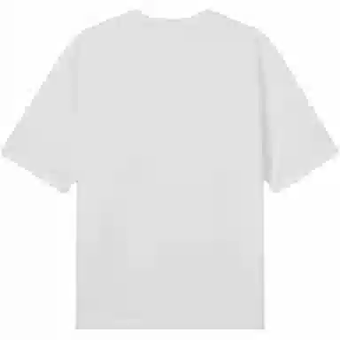 levis T