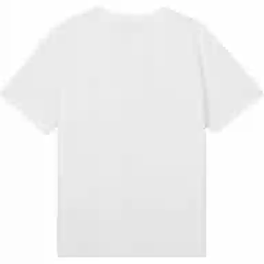levis T