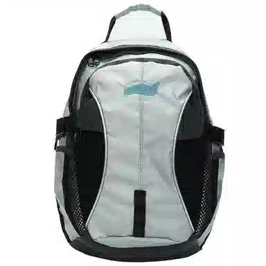 CAREELL Silver Backpack