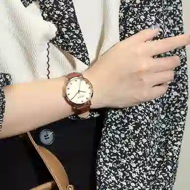 JULIUS JL JA-1365B