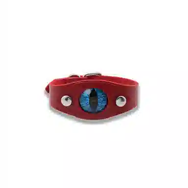 大唐国鼎 火焰魔瞳小众时尚简约设计潮酷个性小众高级感森系高级感本命年财运 好运 皮革 手环 男女同款情侣款