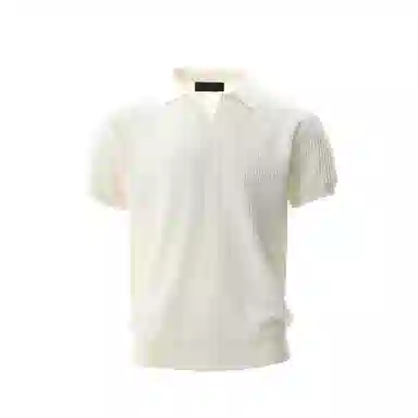 ICEGZ37 Polo