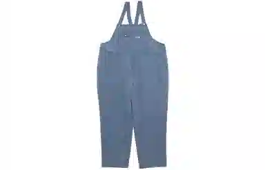 THE NORTH FACE PURPLE LABEL Logo