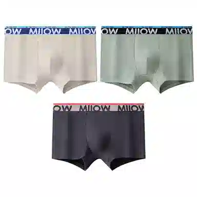 MIIOW 10Alogo 3