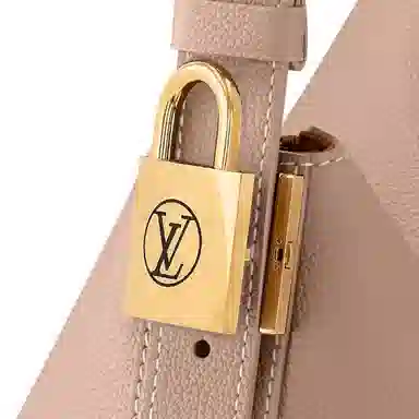 Louis Vuitton Low Key Cookie