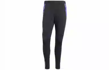 adidas Germany Tiro 24 Competition Training Pants