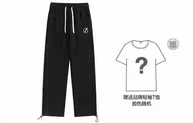 Lightning X Storm logo