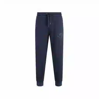 Armani Exchange SS24 Joggers Navy