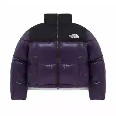 THE NORTH FACE Nuptse NOVELTY RDS DOWN