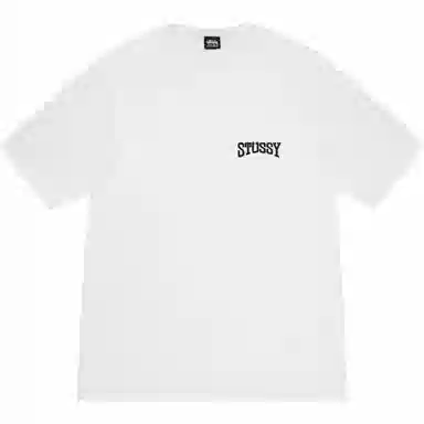Stussy SS25