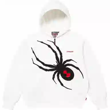 Supreme x Spyder Zip Up Hoodie