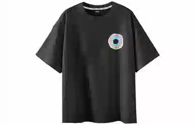 ICONS Lab T