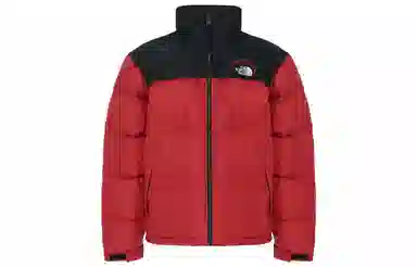THE NORTH FACE 1996Nuptse Retro logo