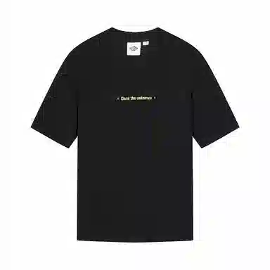 Palladium T