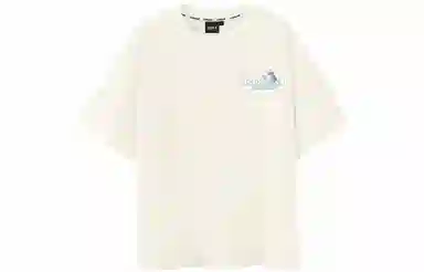 ICONS Lab Lab T