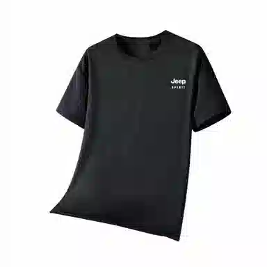 JEEP SPIRIT LogoT