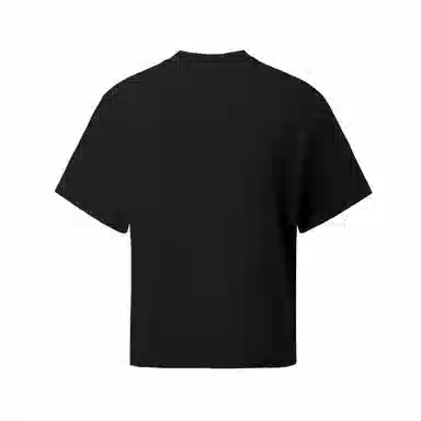 Hansca T