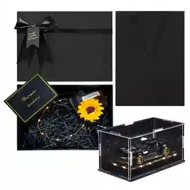 ENGTEN AMG GT VISINN 132