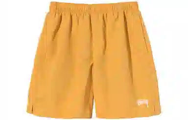 Stussy Logo Nylon Shorts