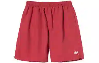 Stussy Logo Nylon Shorts