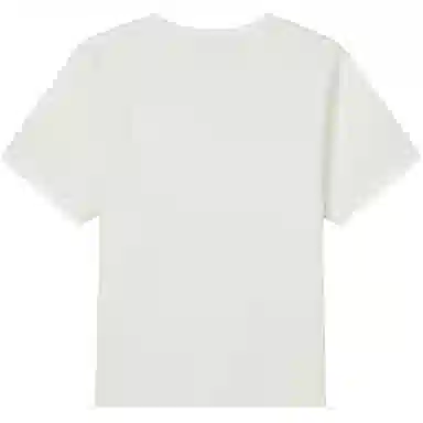 LACOSTE SS25T