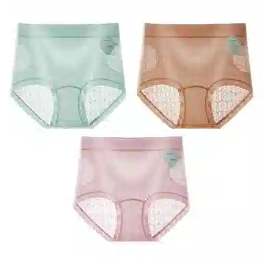 二三二三 吸湿透气抑菌亲肤内裤亲肤柔软无痕不卡档不夹臀三角裤轻透蕾丝浮雕舒适浪漫短裤 女款 组合装