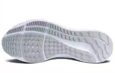 Nike Air Zoom Pegasus 40