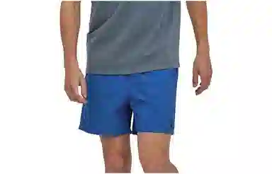 Patagonia Classic Logo Shorts