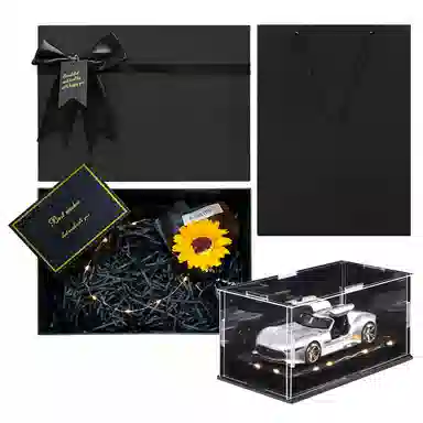 ENGTEN AMG GT VISINN 132