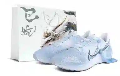 Nike Air Zoom Pegasus 40