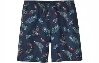 patagonia Baggies