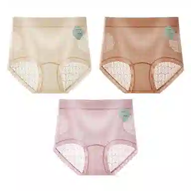 二三二三 吸湿透气抑菌亲肤内裤亲肤柔软无痕不卡档不夹臀三角裤轻透蕾丝浮雕舒适浪漫短裤 女款 组合装